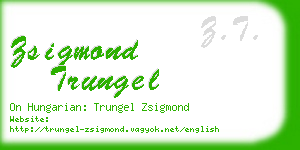 zsigmond trungel business card